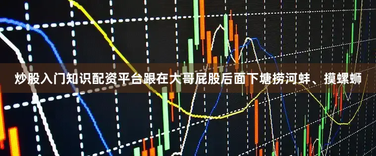 炒股入门知识配资平台跟在大哥屁股后面下塘捞河蚌、摸螺蛳
