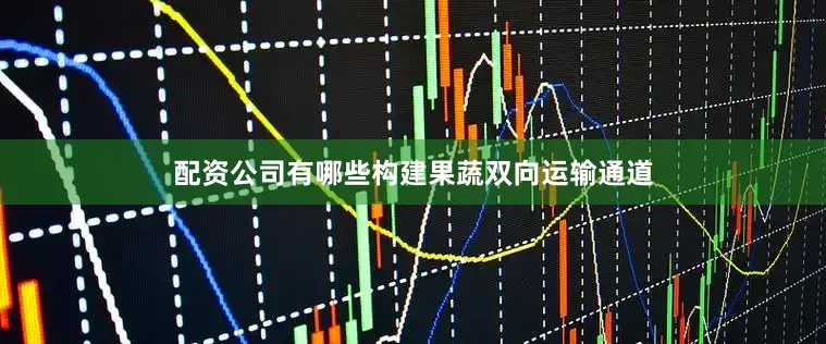 配资公司有哪些构建果蔬双向运输通道