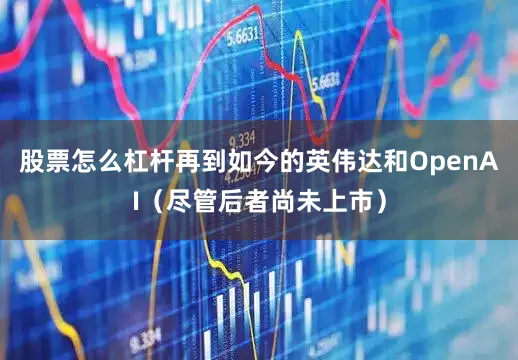 股票怎么杠杆再到如今的英伟达和OpenAI（尽管后者尚未上市）