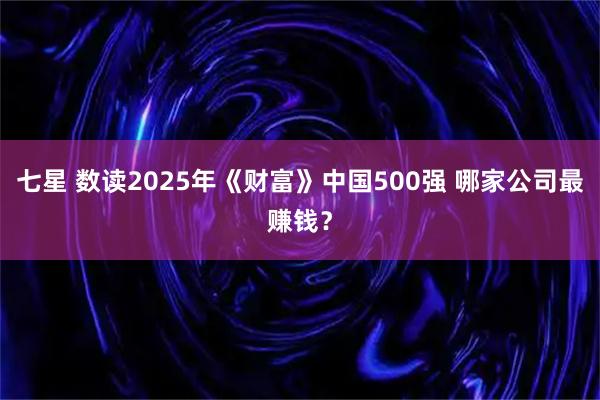 七星 数读2025年《财富》中国500强 哪家公司最赚钱？