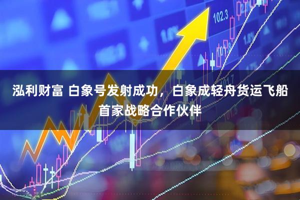 泓利财富 白象号发射成功，白象成轻舟货运飞船首家战略合作伙伴