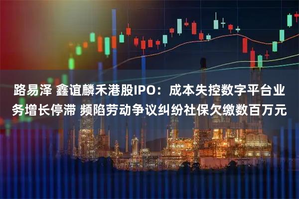 路易泽 鑫谊麟禾港股IPO：成本失控数字平台业务增长停滞 频陷劳动争议纠纷社保欠缴数百万元