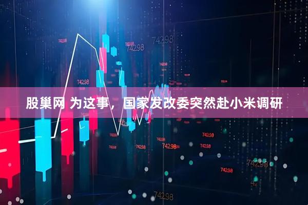 股巢网 为这事，国家发改委突然赴小米调研