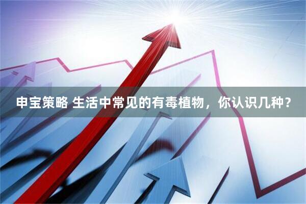 申宝策略 生活中常见的有毒植物,你认识几种?