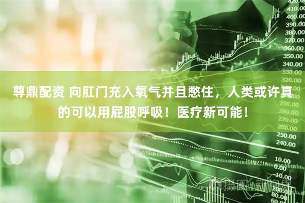 尊鼎配资 向肛门充入氧气并且憋住,人类或许真的可以用屁股呼吸!医疗新可能!