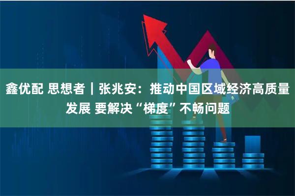 鑫优配 思想者｜张兆安：推动中国区域经济高质量发展 要解决“梯度”不畅问题