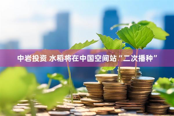 中岩投资 水稻将在中国空间站“二次播种”